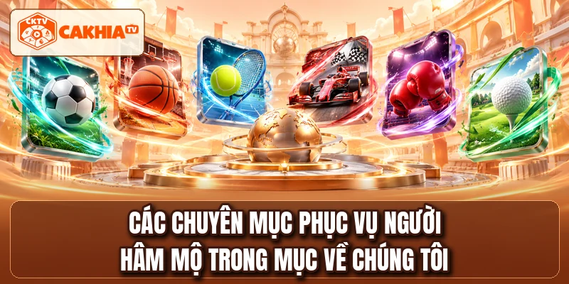 Các chuyên mục phục vụ người hâm mộ trong mục về chúng tôi