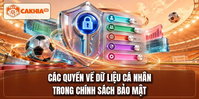 Các quyền về dữ liệu cá nhân trong chính sách bảo mật
